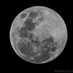 Full Moon over Sydney-4.jpg